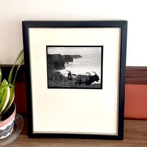 Mountain Goat Black & White Photo Black Framed Wall Hanging Art Coastline Ocean